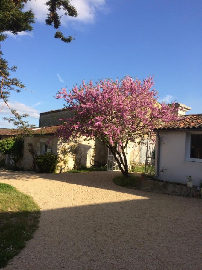 Le Logis Du Plessis Chaniers Exterior foto
